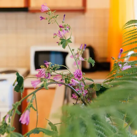 Beachfront In Corfu Apartamento Halikounas